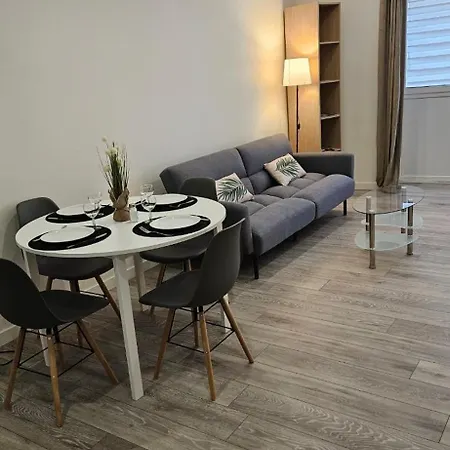 Appartamento Bel T2 De 50m2,accès Pmr,plein Centre