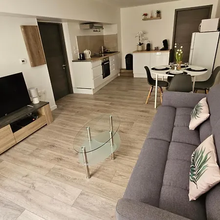 Bel T2 De 50m2,acces Pmr,plein Centre Toul