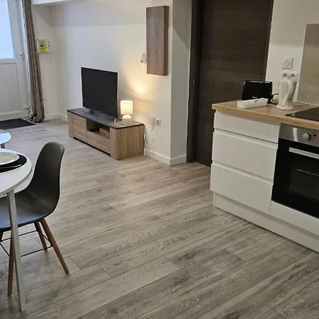 Bel T2 De 50m2,accès Pmr,plein Centre * Toul